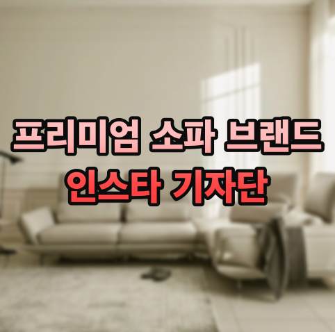 국내 고급 제작 소파 기자단
