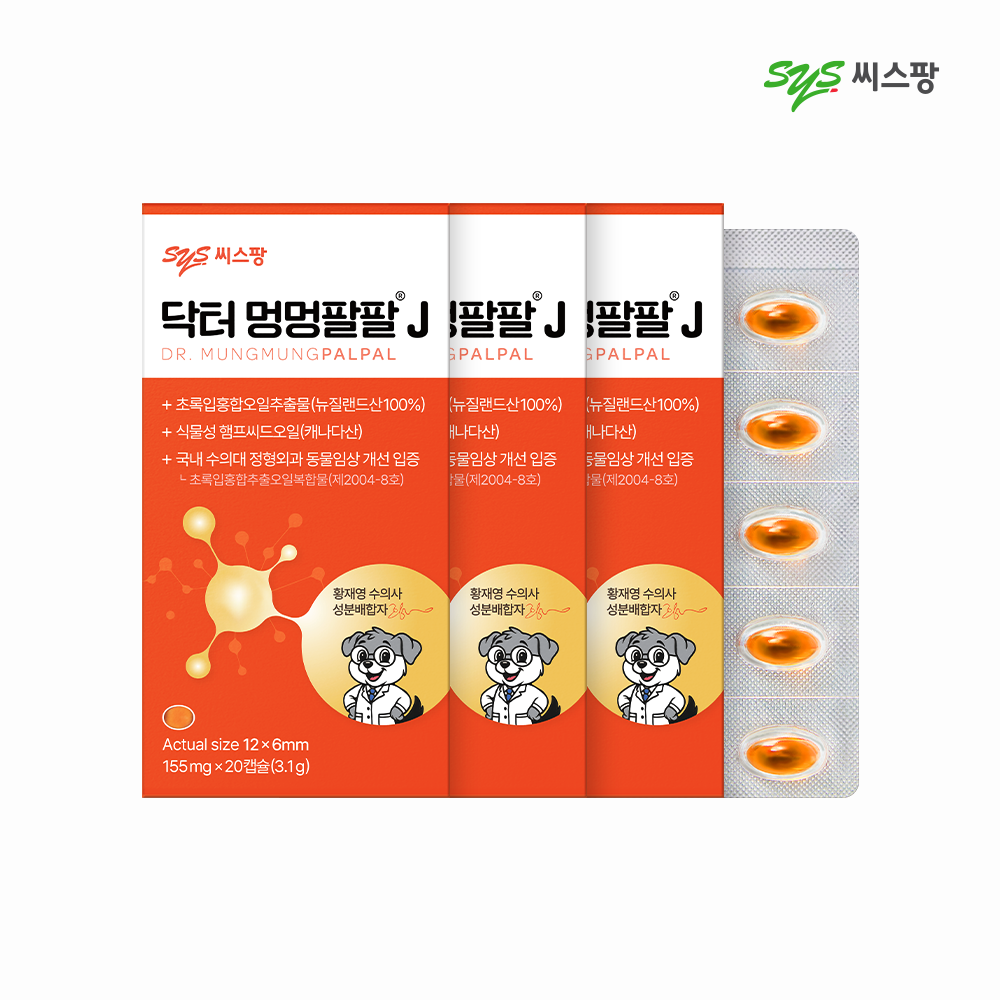 닥터멍멍팔팔J 3박스 구매체험단 모