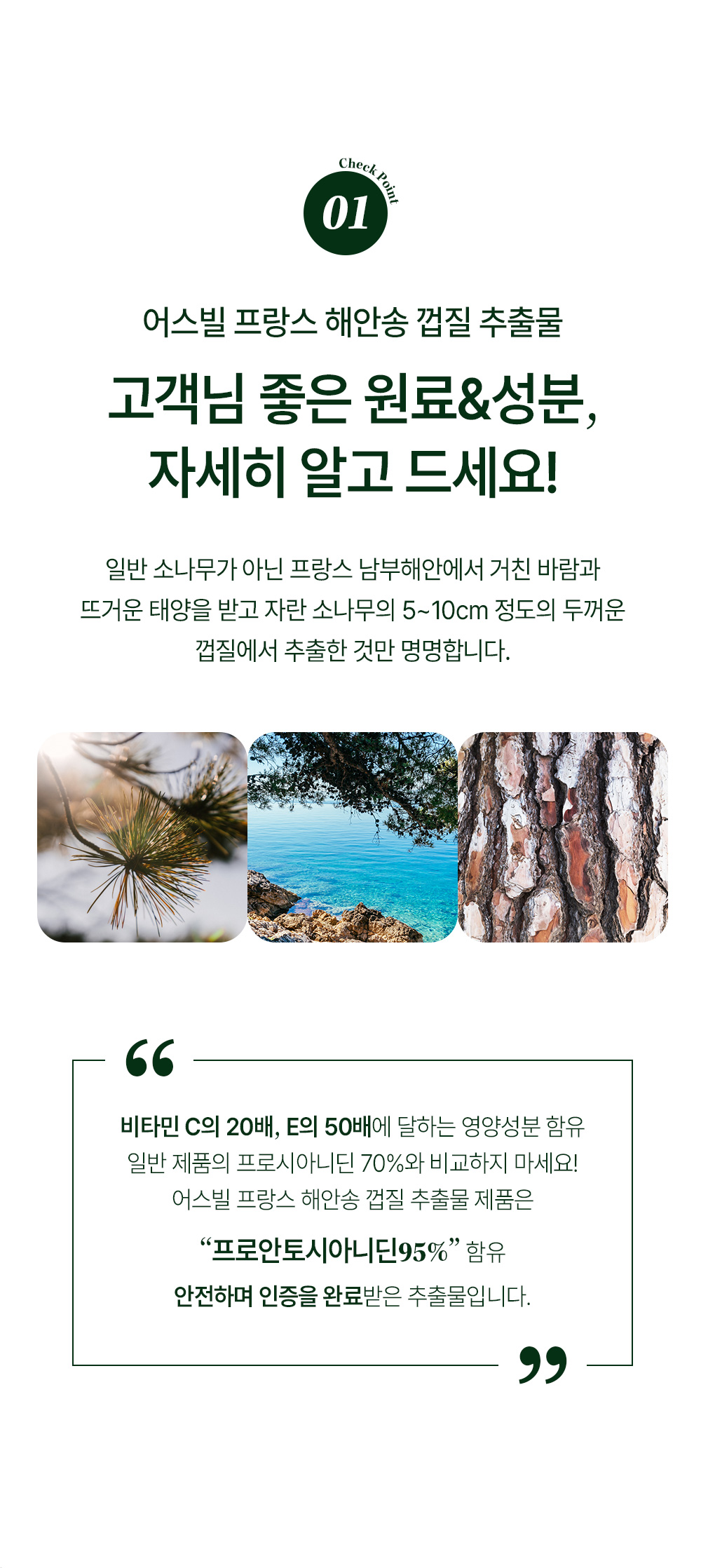 상세이미지