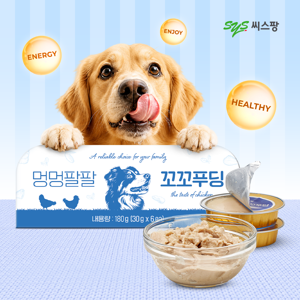 캠페인이미지