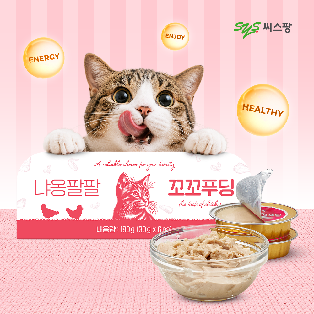 캠페인이미지