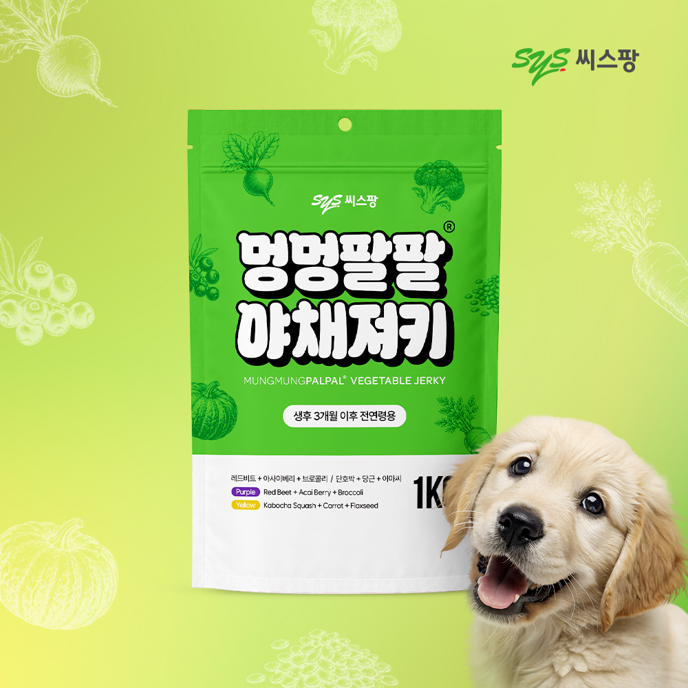 캠페인이미지
